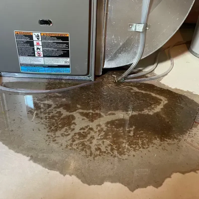 Appliance Leak Cleanup in Camanche, IA